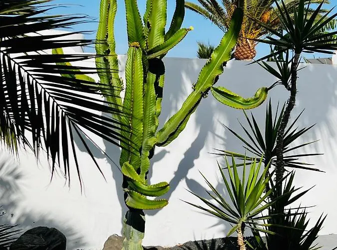 Casa Alizee, Heated Pool, Hot Tub Дом отдыха